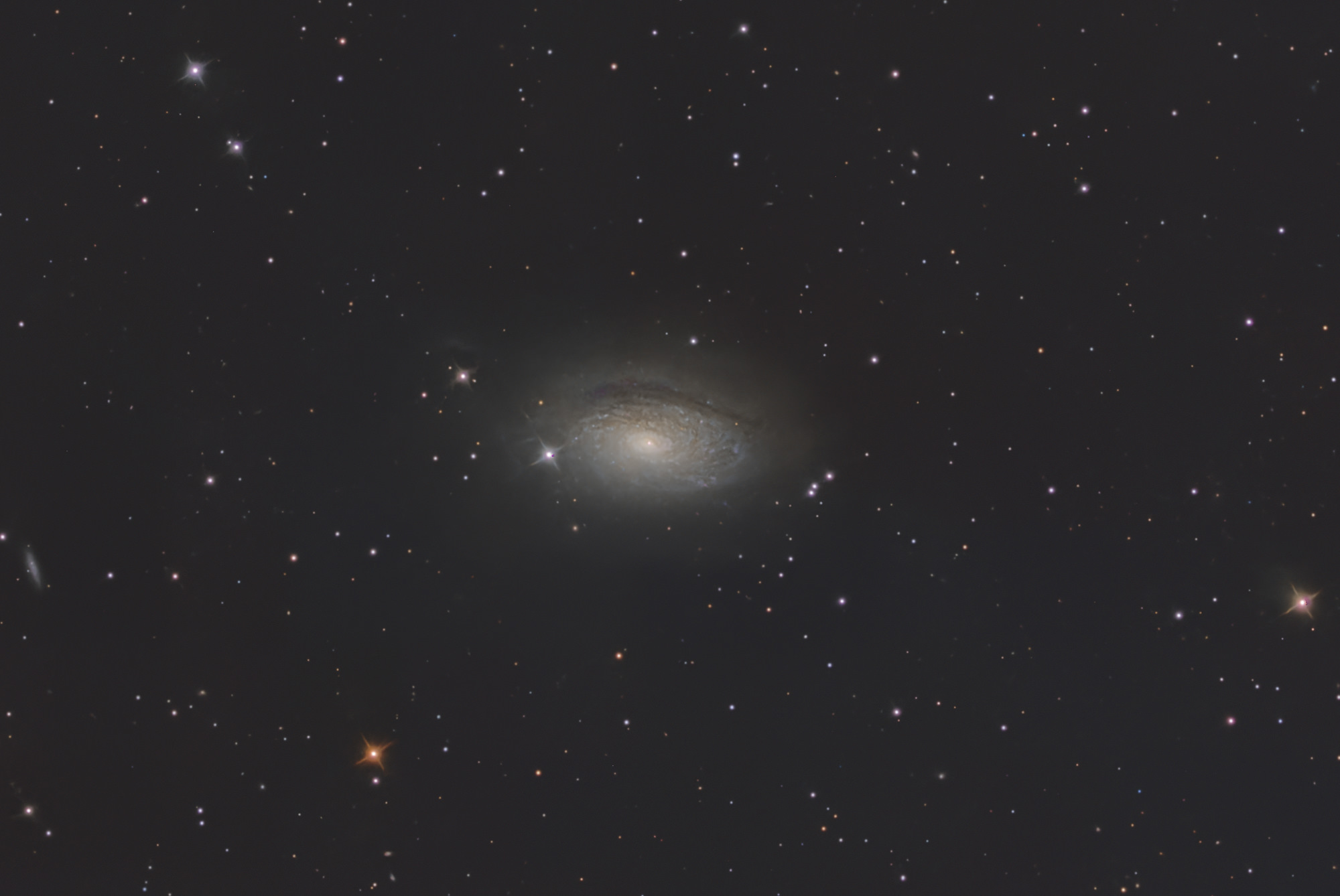 Die Sonnenblumen-Galaxie Messier 63 ist eine Spiralgalaxie im Sternbild Jagdhunde am Nordsternhimmel und besitzt einen Durchmesser von ca. 50.000 Lichtjahren. Ungewöhnlich und namensgebend sind die vielen, gut sichtbaren, knötchenartigen Verdichtungen in ihren Spiralarmen. Es handelt sich dabei um Sternentstehungsgebiete und leuchtende Gaswolken.